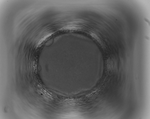 X0000100380872200806201648