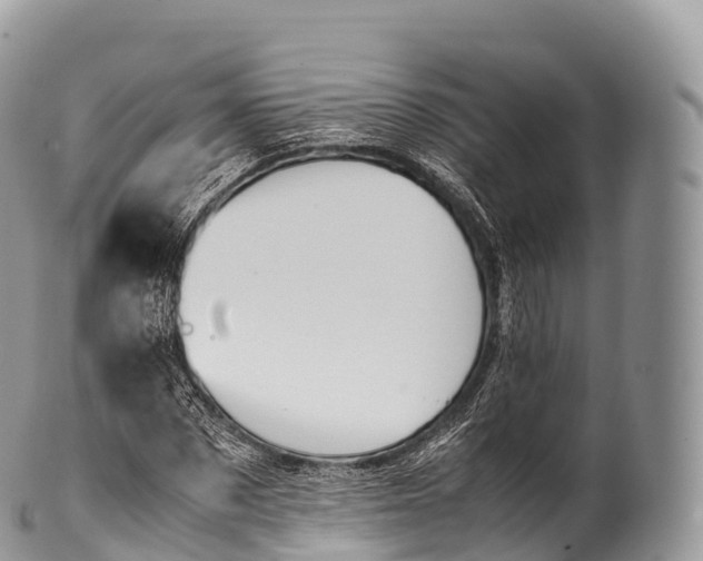 X0000100380873200806201648