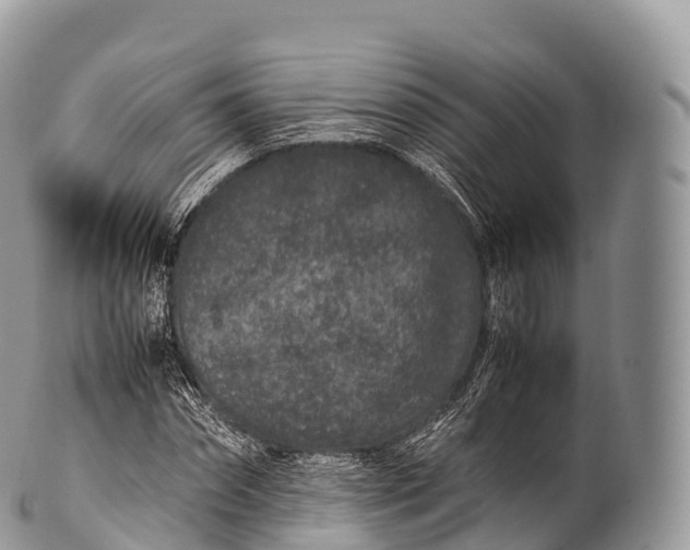 X0000100380874200806201648