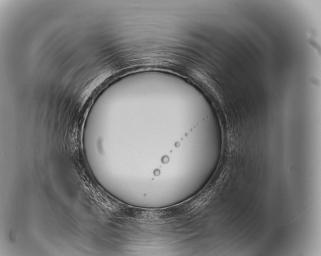 X0000100380875200806201648