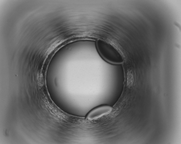 X0000100380876200806201648