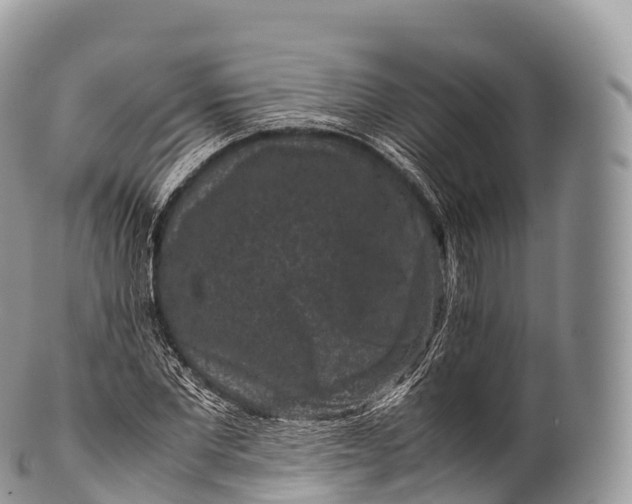 X0000100380877200806201648