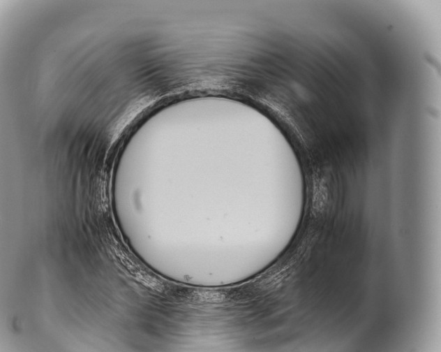 X0000100380878200806201648