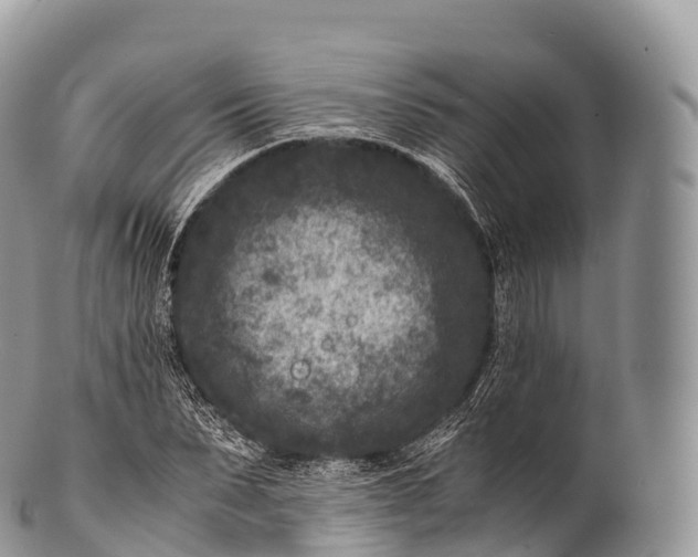 X0000100380879200806201648