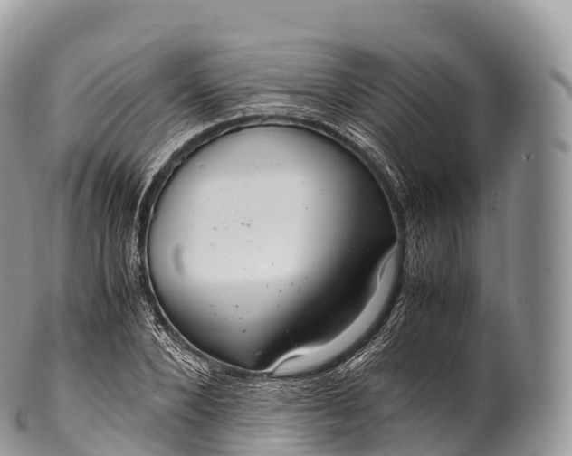 X0000100380880200806201648