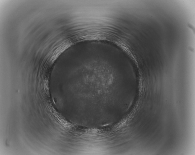 X0000100380881200806201648