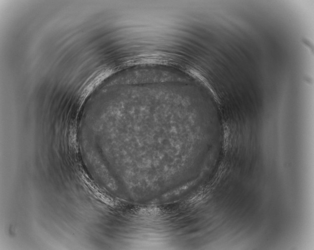 X0000100380882200806201648