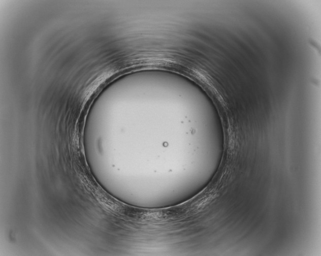 X0000100380883200806201648