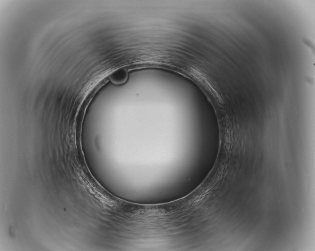 X0000100380884200806201648