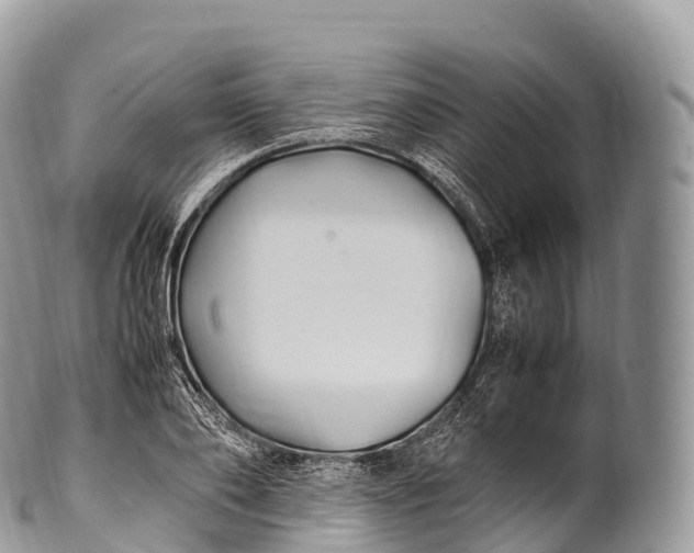 X0000100380886200806201648