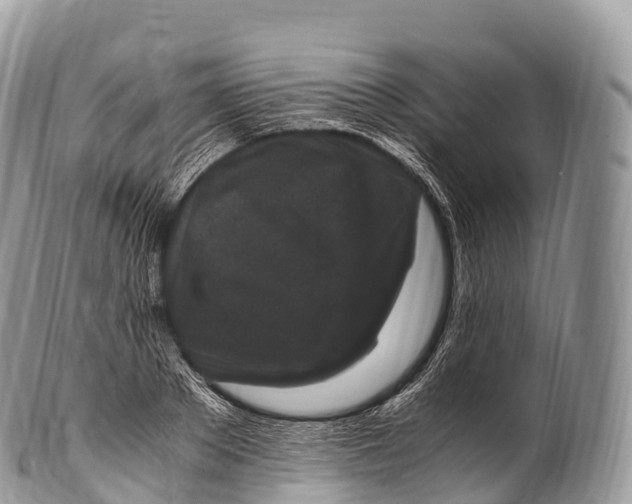 X0000100380889200806201648