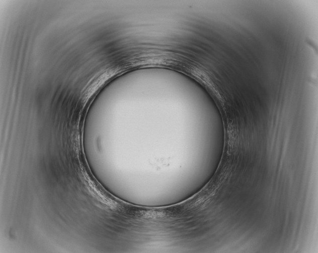 X0000100380890200806201648