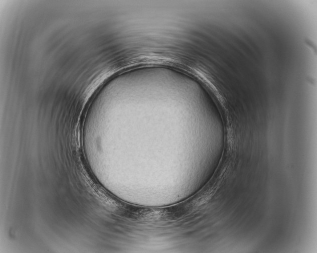 X0000100380891200806201648