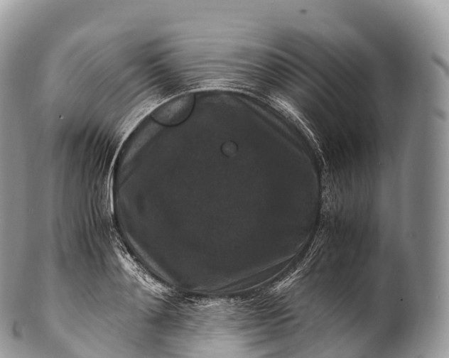 X0000100380892200806201648