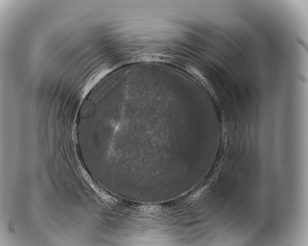 X0000100380893200806201648