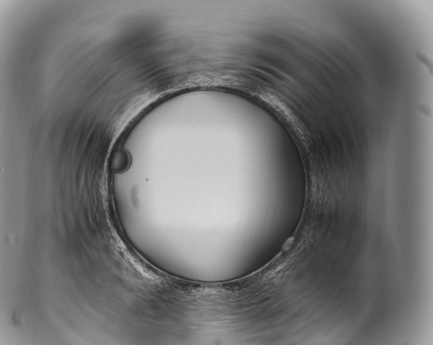 X0000100380894200806201648