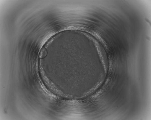 X0000100380896200806201648