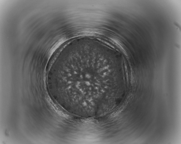 X0000100380899200806201648