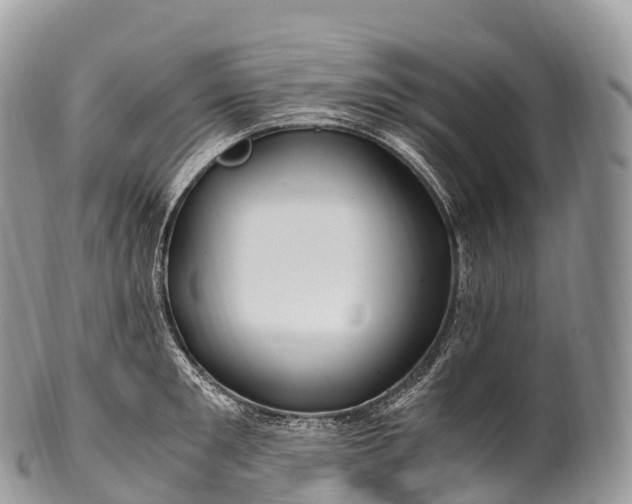 X0000100380901200806201647