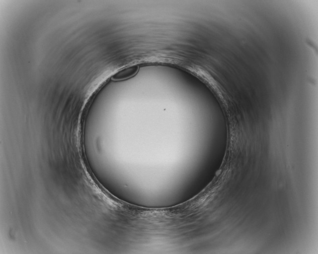 X0000100380902200806201647