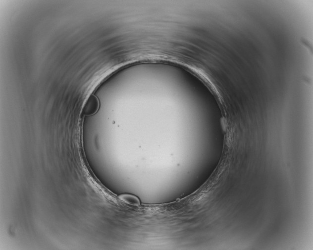 X0000100380903200806201647
