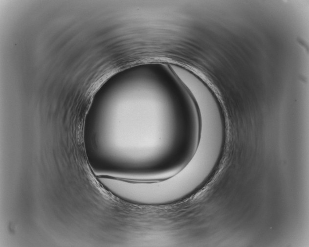 X0000100380905200806201647