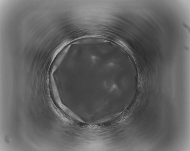 X0000100380907200806201647