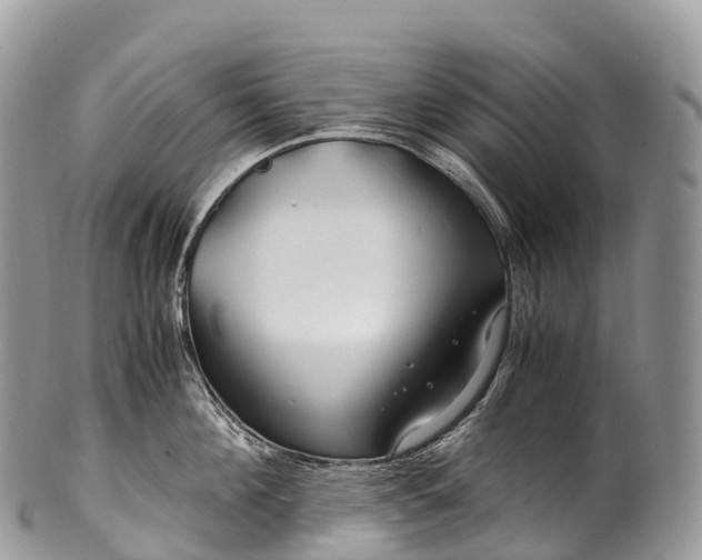 X0000100380908200806201647