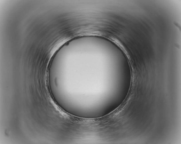 X0000100380909200806201647