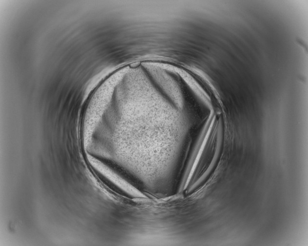 X0000100380910200806201647