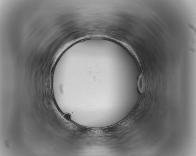 X0000100380911200806201647