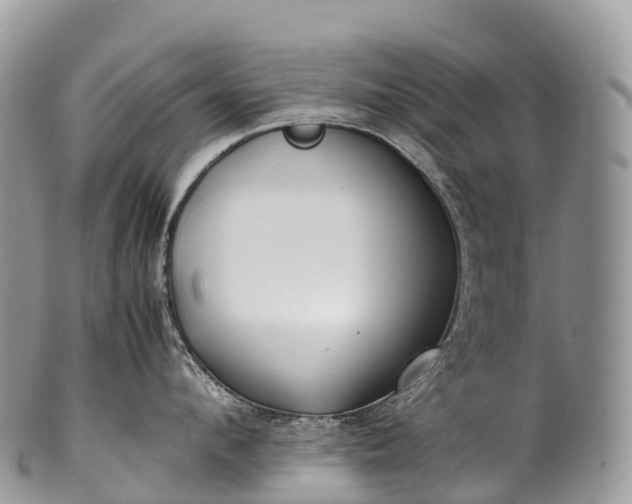 X0000100380912200806201647
