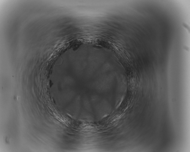 X0000100380913200806201646