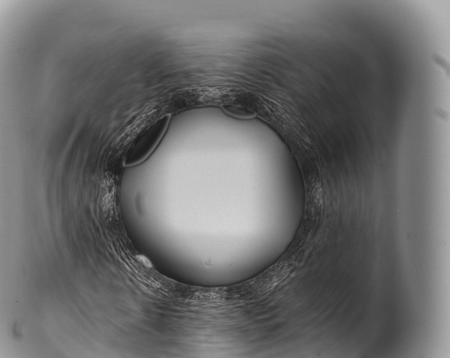 X0000100380914200806201646