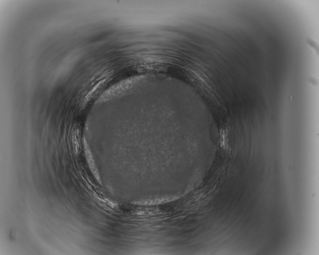 X0000100380915200806201647