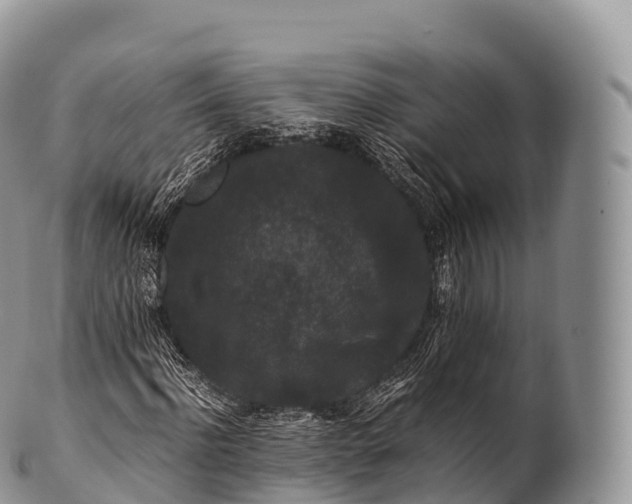 X0000100380916200806201647