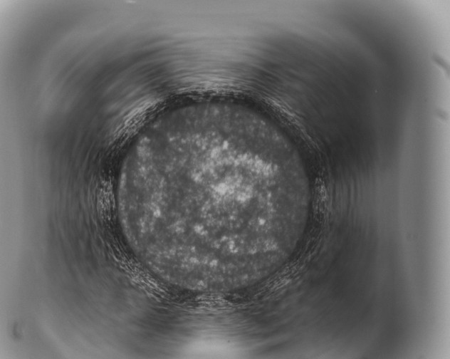 X0000100380918200806201647