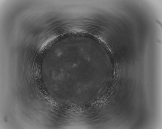 X0000100380919200806201647