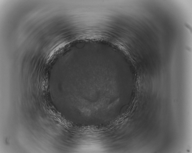 X0000100380920200806201647