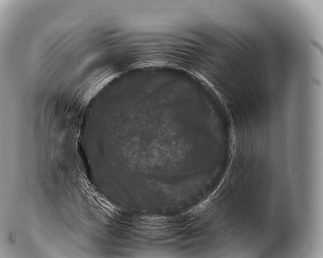 X0000100380921200806201647