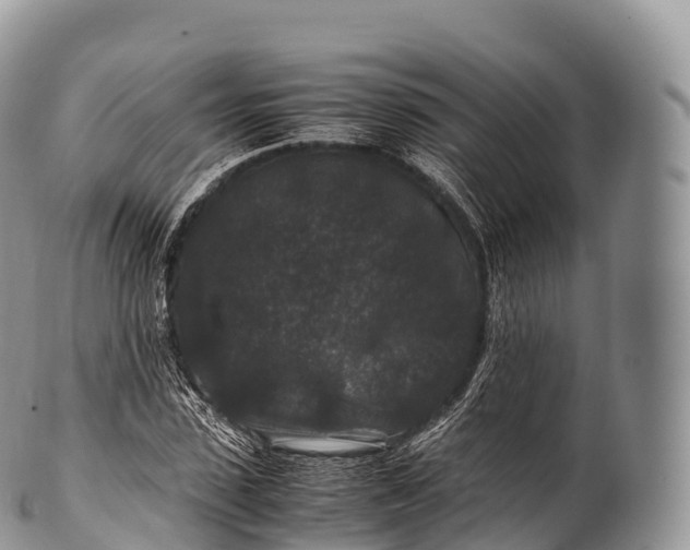 X0000100380923200806201647