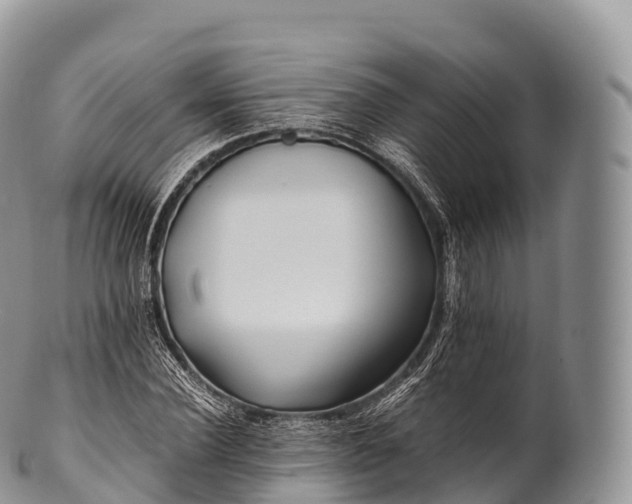 X0000100380924200806201647