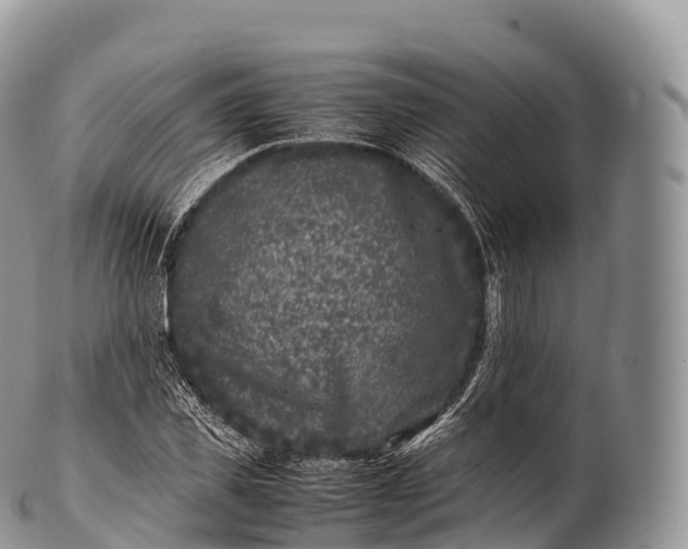X0000100380925200806201647