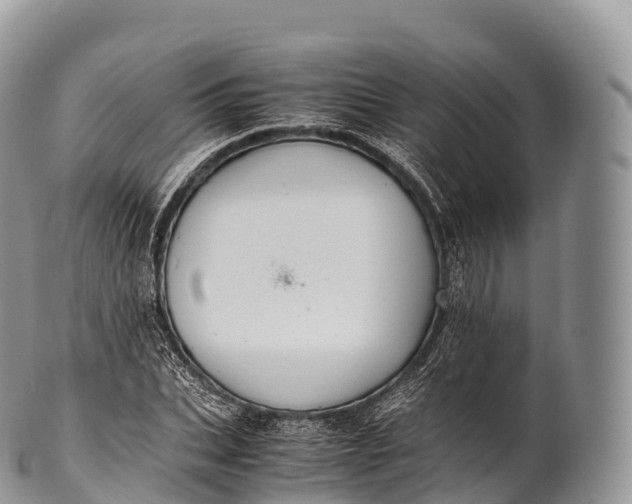 X0000100380927200806201647