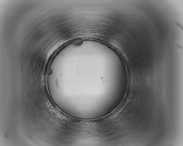 X0000100380928200806201647