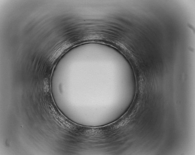 X0000100380929200806201647