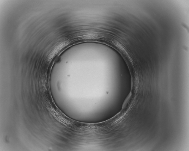 X0000100380930200806201647