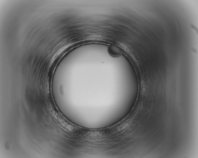 X0000100380931200806201647
