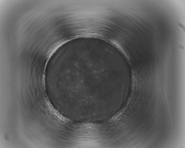 X0000100380932200806201647