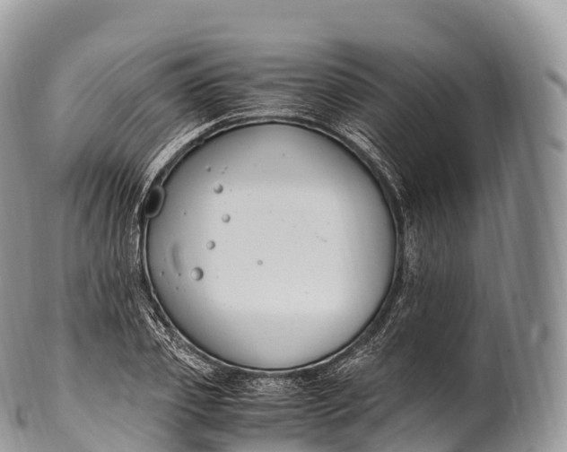 X0000100380933200806201647